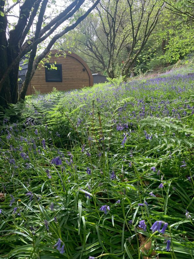 CorpachThe Highland Hideaway Pod别墅 外观 照片